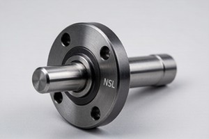 NSL